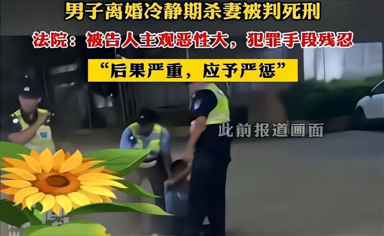 离婚冷静期杀妻 男子被判死刑