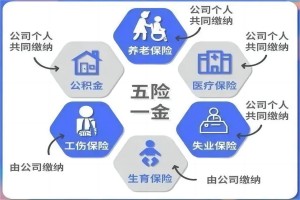 张治儒：五险一金对劳动者的影响